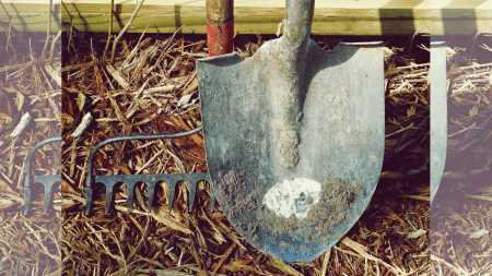 Essential Tools Every Singaporean Gardener Needs